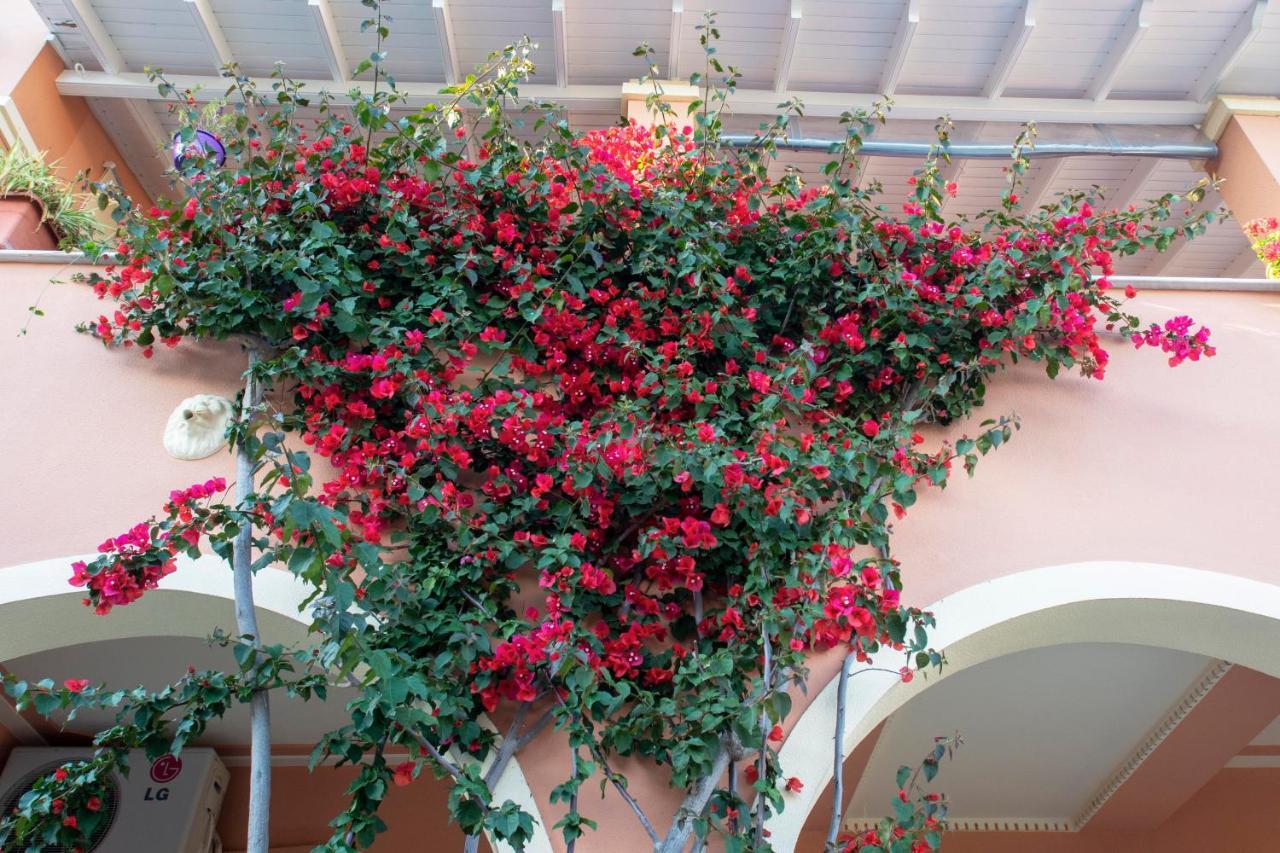 The Red Bougainvillea Apartments Κανάλι Εξωτερικό φωτογραφία